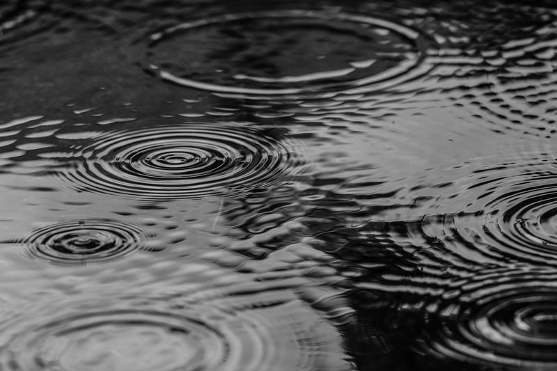 Monochrome Magic